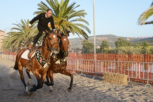 Horse Festival Bosa, Sardinia - apartments to rent